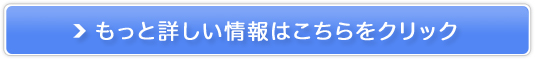 CtNúuLbY(qE玙)piT[rXv̔TCg